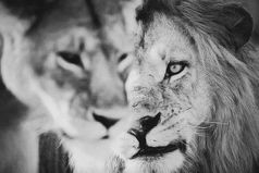 Любящие глаза по сторонам не смотрят.