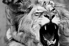 Кроха сын к отцу пришел и сказала кроха: 