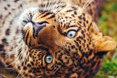 Легла отдохнуть, уснула. Так и не отдохнула!