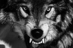 Опускайте голову только в одном случае - когда молитесь