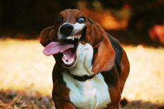 Самый верный будильник — это звонок  с работы со словами: «Ты бл*дь где?!»