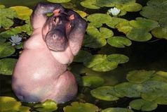 На ее груди висел значок худеем вместе! И все бы ничего, но как раз на третью букву села муха.