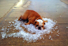 Метеорологи пообещали, что на следующей неделе мы наконец «передохнем от жары». А ударение в слове «передохнем» не поставили