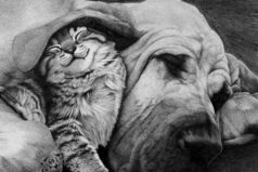 Когда люди понимают, что нравятся друг другу – начинается молчание.