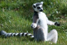 Только сев на пол в позе лотоса и расслабившись  понимаешь простые вещи. Надо помыть пол под шкафом  и вон куда делась зарядка от телефона