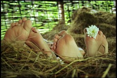 В деревне сгорел сеновал, так сказать бордель закрылся.