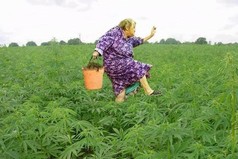 Самый лучший любовник - это огород!  И позы разные, и семь потов сойдет!