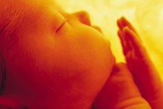 Я мамин Пузожитель, Я в пузике живу! Я мамочкой питаюсь, Я мамочкой дышу. Я с мамочкой гуляю, И с нею же смеюсь. И папочку встречая - Ужасно веселюсь! Расту я быстро очень. Кручусь себе, верчусь. И бодрствую ночью, А днем я спать хочу. От всяких химикатов Меня слегка тошнит, Поэтому мы с мамой Откажемся от них. Мы с мамой очень дружно в любви, в тепле живем. Я - мамин Пузожитель! А мамочка — мой Дом!