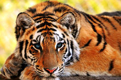 Почему я грущу по тем людям, для которых я никто?