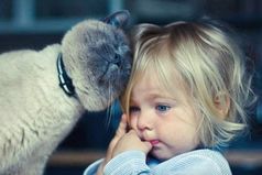 Женственность - это не только платье, каблуки, ухоженные волосы или накрашенные ногти. Женственность - это доброе, нежное сердце. Женственность - это любовь и забота ко всему живому. Женственность - это дар от Бога...