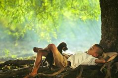 Когда тебе плохо – прислушайся к природе. Тишина мира успокаивает лучше, чем миллионы ненужных слов.