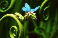 Нельзя приклеить к гусенице крылья и заставить  ее летать, как бабочку. Она должна измениться изнутри.