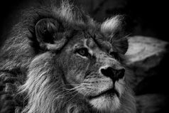 Позвольте себе роскошь не общаться с неприятными людьми.