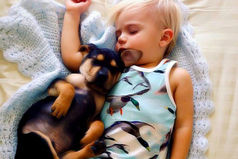 Укладываю внука спать, напевая ему песенку. Через 10 минут из кроватки голос:  - Бабуль , можно я спать уже буду, или ты попеть ещё хочешь.