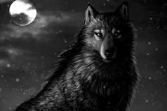 Об твою доброту вытирали ноги, над твоими чувствами только смеялись, твоя  искренность никому не нужна, а потом люди удивляются, что с тобой? Почему ты стал таким? Почему ты ко всему и ко всем охладел?