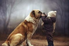 Друзьями остаются лишь те, кого с годами не съела зависть, кого не огорчило чужое счастье!