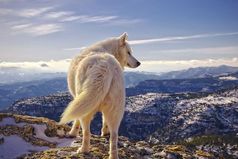 Человек обычно становится гораздо  сильнее, когда осознает, что помощи ему ждать неоткуда и надеяться можно только на самого себя