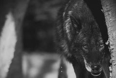 Если тебе плюют в спину, не надо там философских мыслей,  что ты впереди, просто повернись и проломи ему череп!