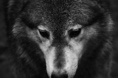 Доверять людям? Да, был такой косяк.