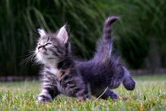 Что не делается, всё к лучшему. Было хорошо, будет ещё лучше.