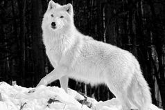 Самое страшное, что мы так молоды, но у каждого из нас уже есть глубокие раны на сердце.