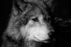 Бывает, люди даже и не замечают, как сильно они могут обидеть