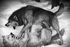 Друзьями остаются те, кого с годами не съела зависть!