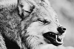 Я помогал чужим и не просил спасибо. Я умирал в душе, а люди проходили мимо.