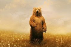 Я вот думаю - сделать загранпаспорт или подождать, когда Россия везде будет?