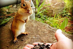 Какая то сволочь принесла семечки на день рождения. Водку так и не открыли!