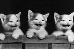 Не буду ни над кем шутить 1 апреля. Так, как природа пошутила над некоторыми, у меня всё равно не получится.