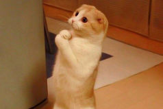 Ещё каких - нибудь 37 понедельников - и Лето.