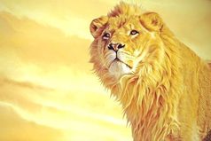 Прежде чем жаловаться на еду, подумай о тех ,кому нечего есть. Прежде чем жаловаться на своих детей, подумай о тех, кто мечтает о них но не может их иметь. Прежде чем жаловаться на жизнь, подумай о тех кто слишком рано ушел из нее!