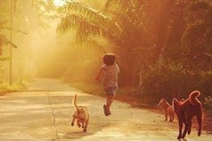 Танцуй, словно тебя никто не видит, пой, словно тебя никто не слышит, люби, словно тебе не причиняли боль, и живи, словно рай уже на Земле.