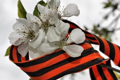 8 мая это день моего рождения, а без 9 мая меня бы не было.