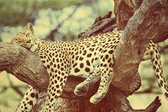 В жизни главное не лениться, захотелf поспать - поспи...