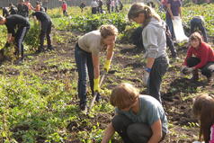 Первомая ждет народ, чтоб вскопать свой огород.