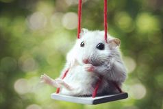 Очень многие люди всю неделю ждут пятницу, весь месяц праздника, весь год лета, и всю жизнь счастья. А нужно радоваться каждому дню и наслаждаться каждым мгновением.