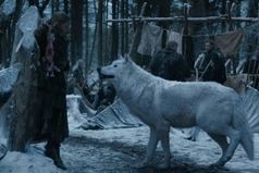 Затруднительно чувствовать себя уверенным, когда тебя со всех сторон окружают волки лошадиного размера!