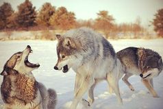 Настоящий друг с тобой, когда ты не прав. Когда ты прав, всякий будет с тобой.