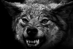 Выходя из себя, закрывайте за собой рот.