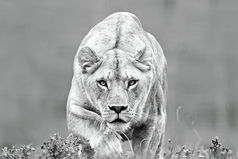 Всё плохое, что происходит с тобой – это не наказание за прошлое, а испытание ради будущего.