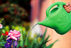 — В чём разница между «Нравится» и «Люблю»?  — Когда Вам нравится цветок, вы его срываете. Но если вы любите цветок, вы ежедневно его поливаете.