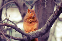 Всё без любви — грех! Посуду мыть не буду.