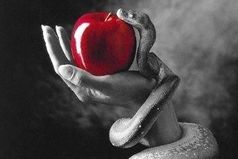 Никогда не рассказывай другим слишком много о себе!  Помни, что в моменты зависти - слепой начинает видеть, немой говорить, а глухой слышать.