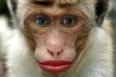 Женихи разбежались, махнули рукой, потому что нельзя быть красивой такой.