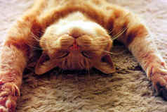 Не надо жить кому-то на зависть… Надо жить себе в удовольствие…