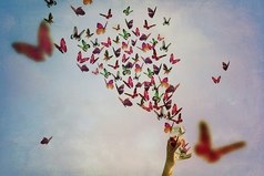 Счастье - это когда в доме нет больных. В тюрьме - нет родных. Среди друзей - нет гнилых...