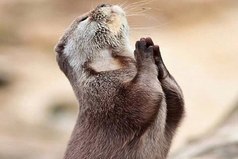 Боже, дай мне силы, терпения, и, на всякий случай, 42 миллиона долларов!