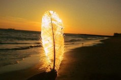 Искусство быть счастливым заключается в способности находить радость в простых вещах.